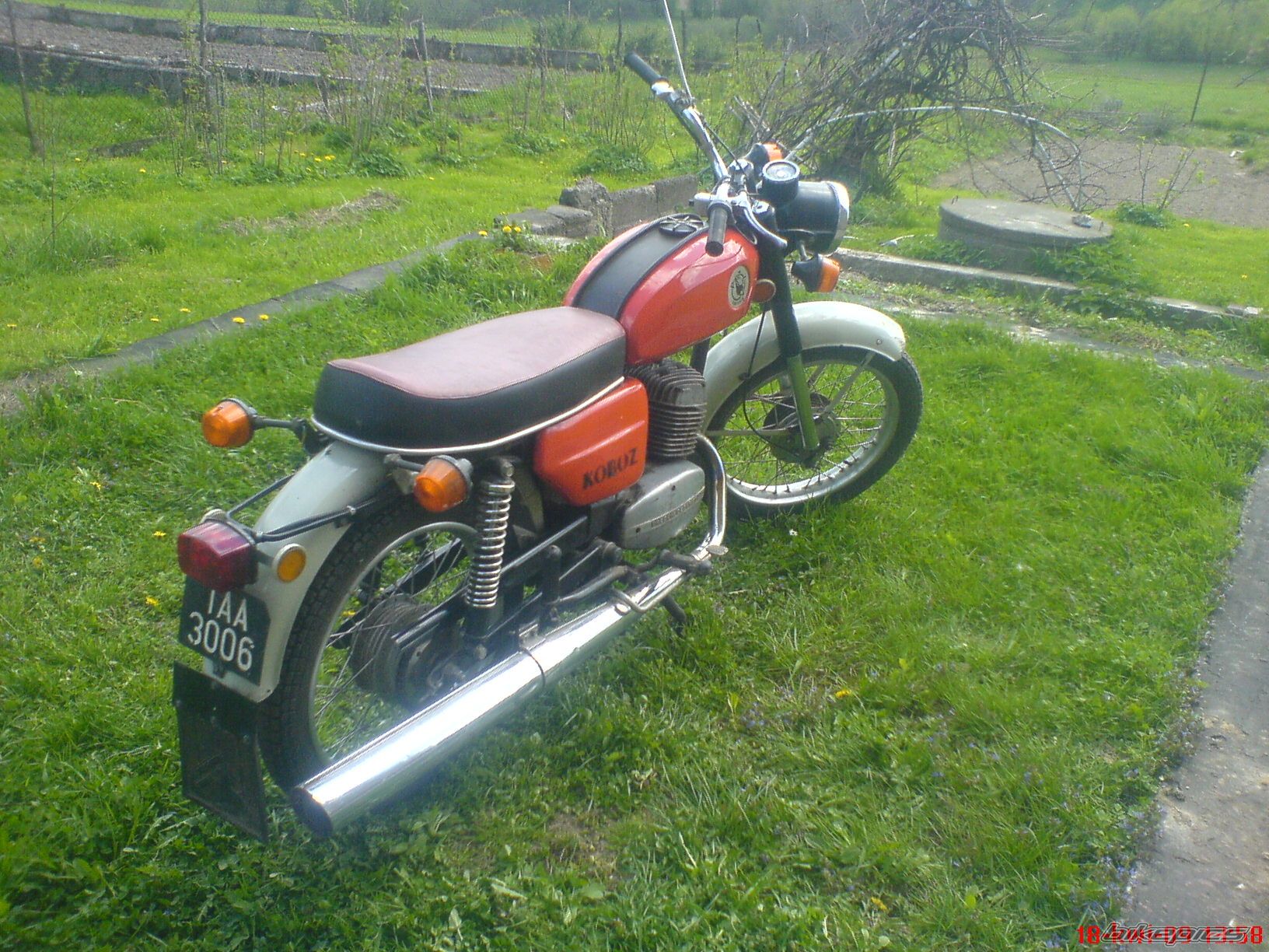 1982 WSK 175 KOBUZ | Picture 1640164 motorcycle photo