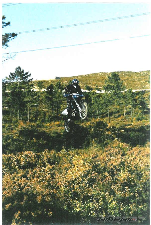 2002 YAMAHA WR 250F | Picture 164044 motorcycle photo