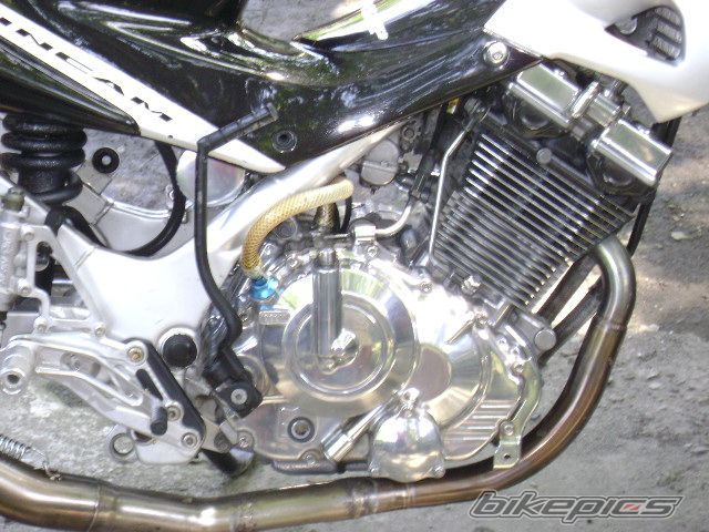 1987 SUZUKI RAIDER 150 | Picture 1640798 motorcycle photo