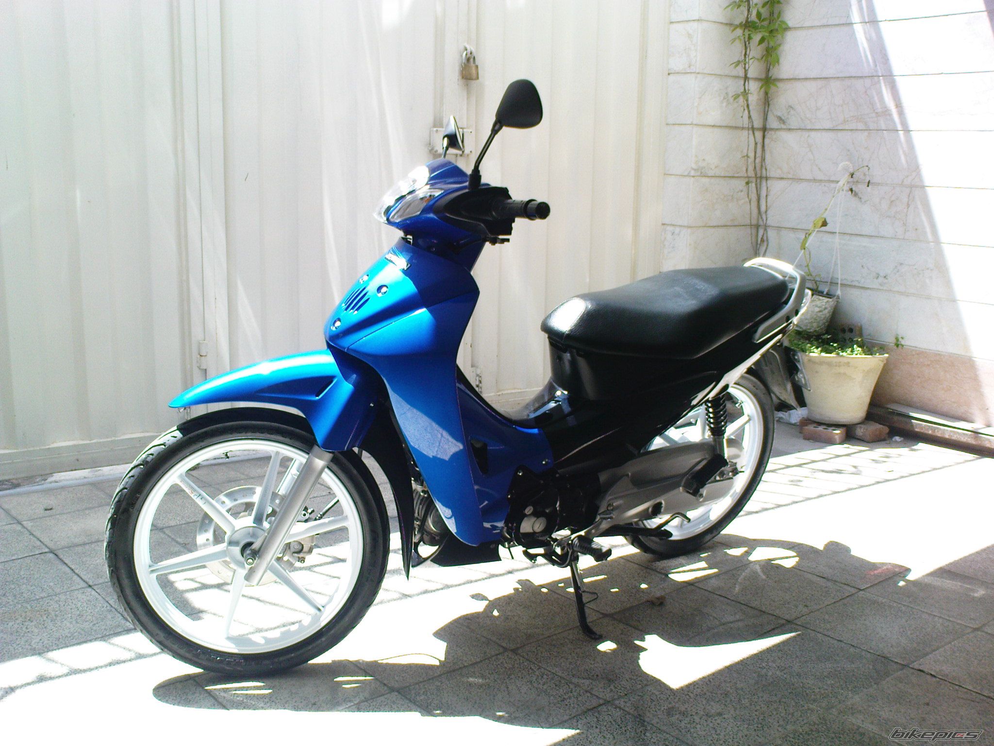 2009 HONDA WAVE 125 | Picture 1640813 motorcycle photo