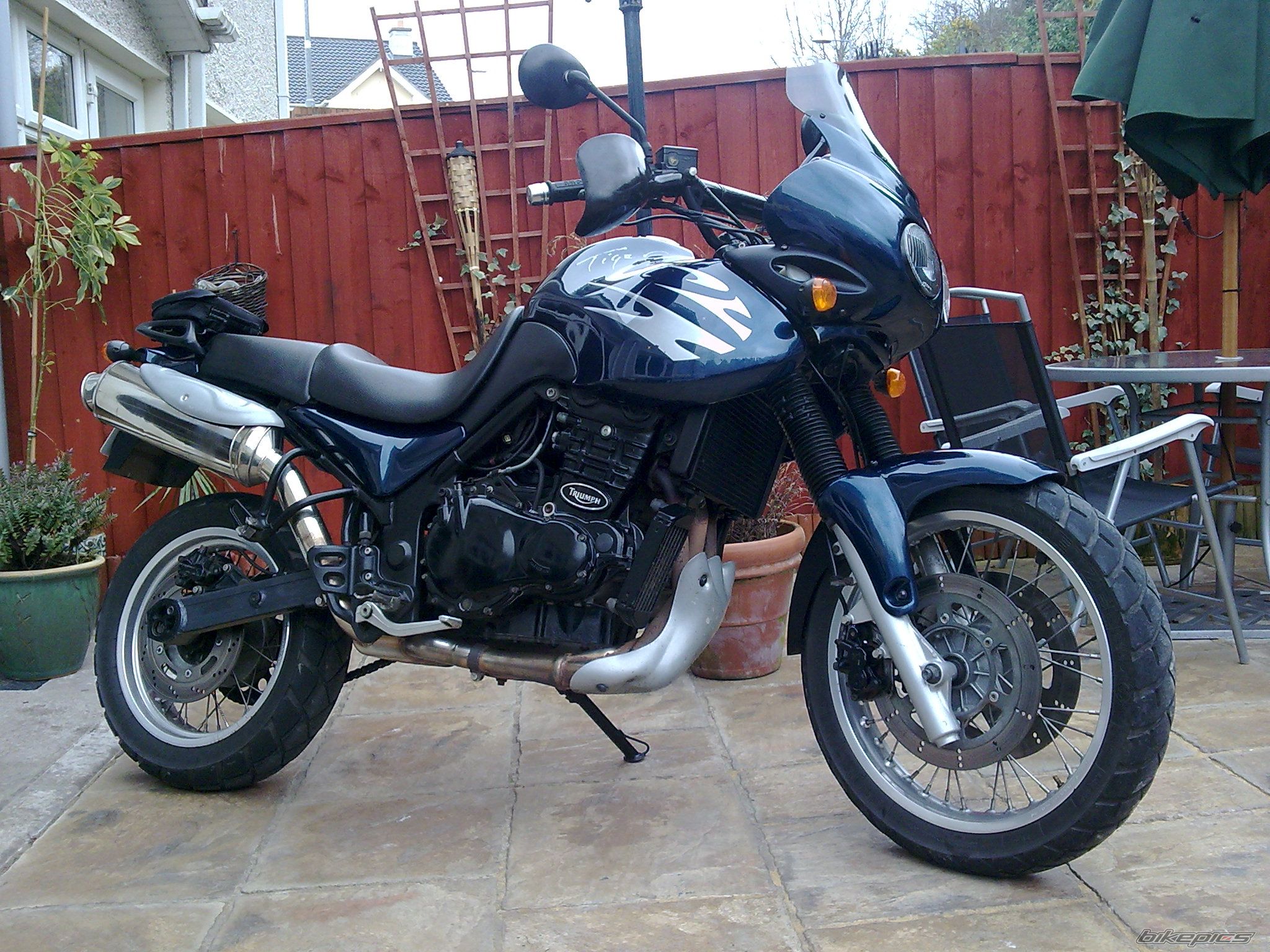 2000 TRIUMPH TIGER | Picture 1640827 motorcycle photo