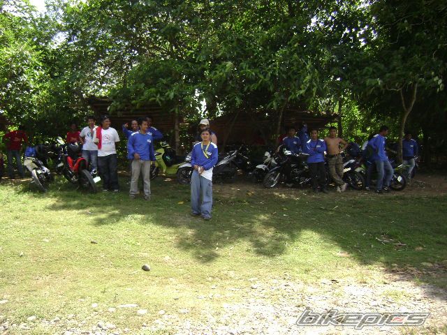 1987 SUZUKI RAIDER 150 | Picture 1640833 motorcycle photo