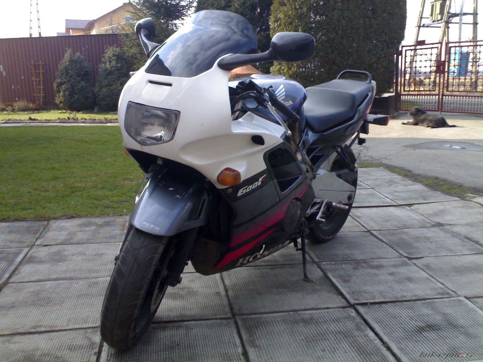 1993 HONDA CBR 600 | Picture 1641147 motorcycle photo