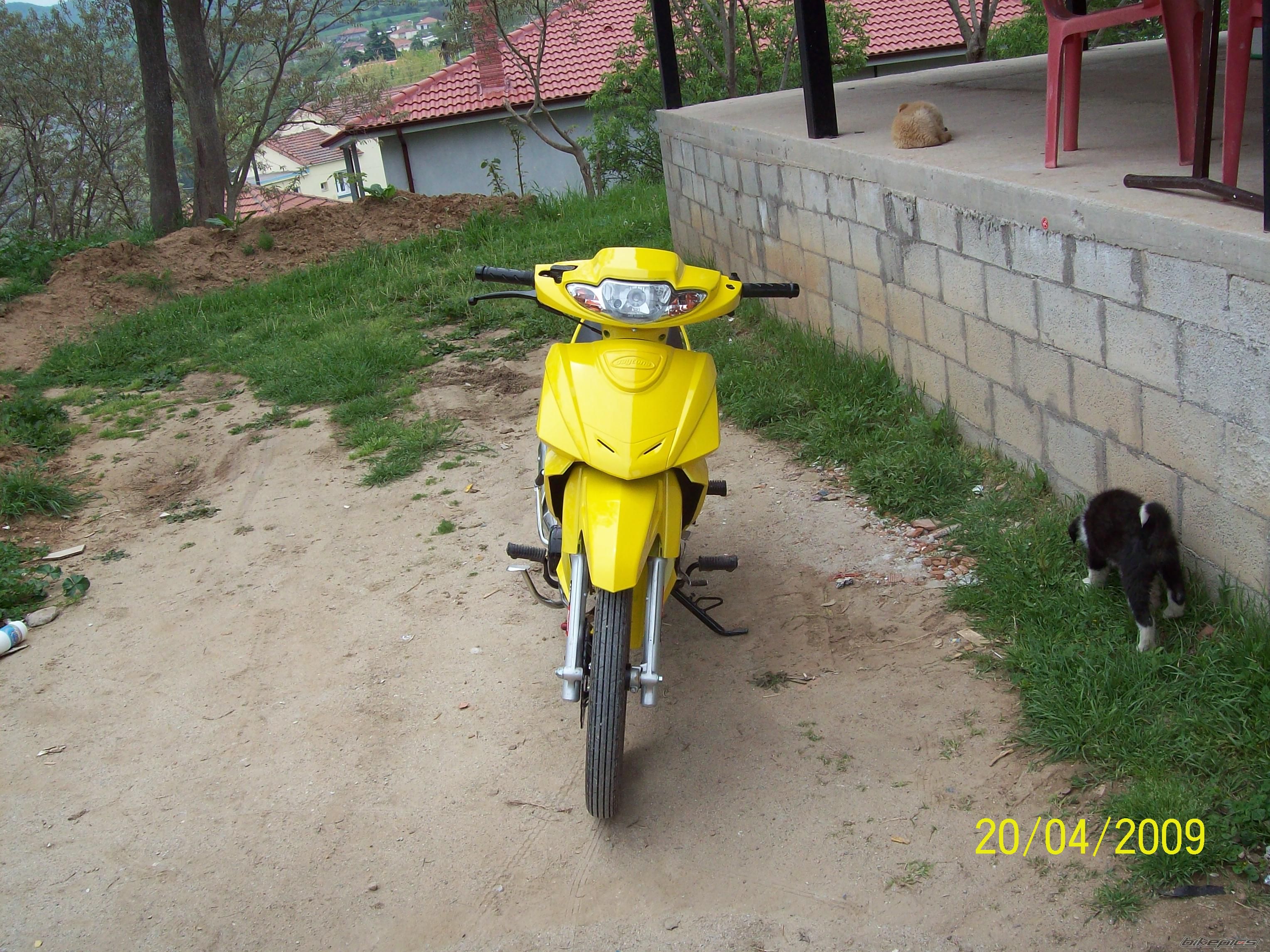 2008 DAYTONA DV 50R | Picture 1641149 motorcycle photo