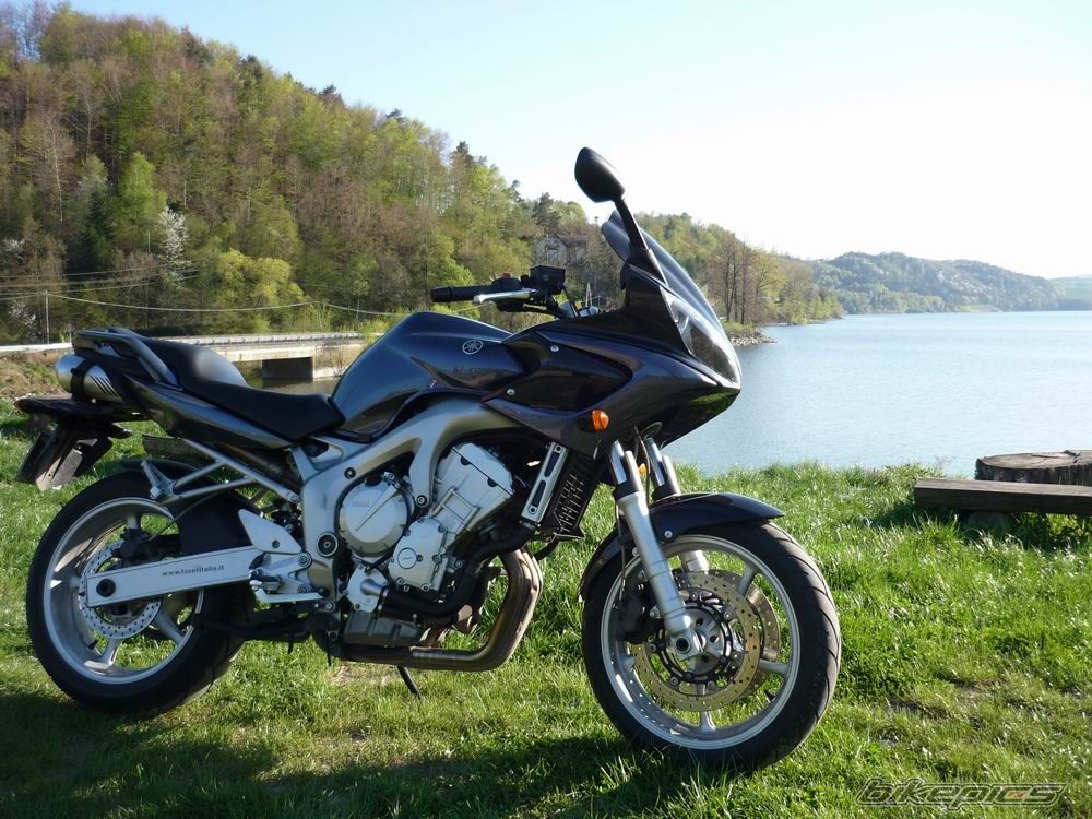 2004 YAMAHA FZ6 FAZER | Picture 1641379 motorcycle photo