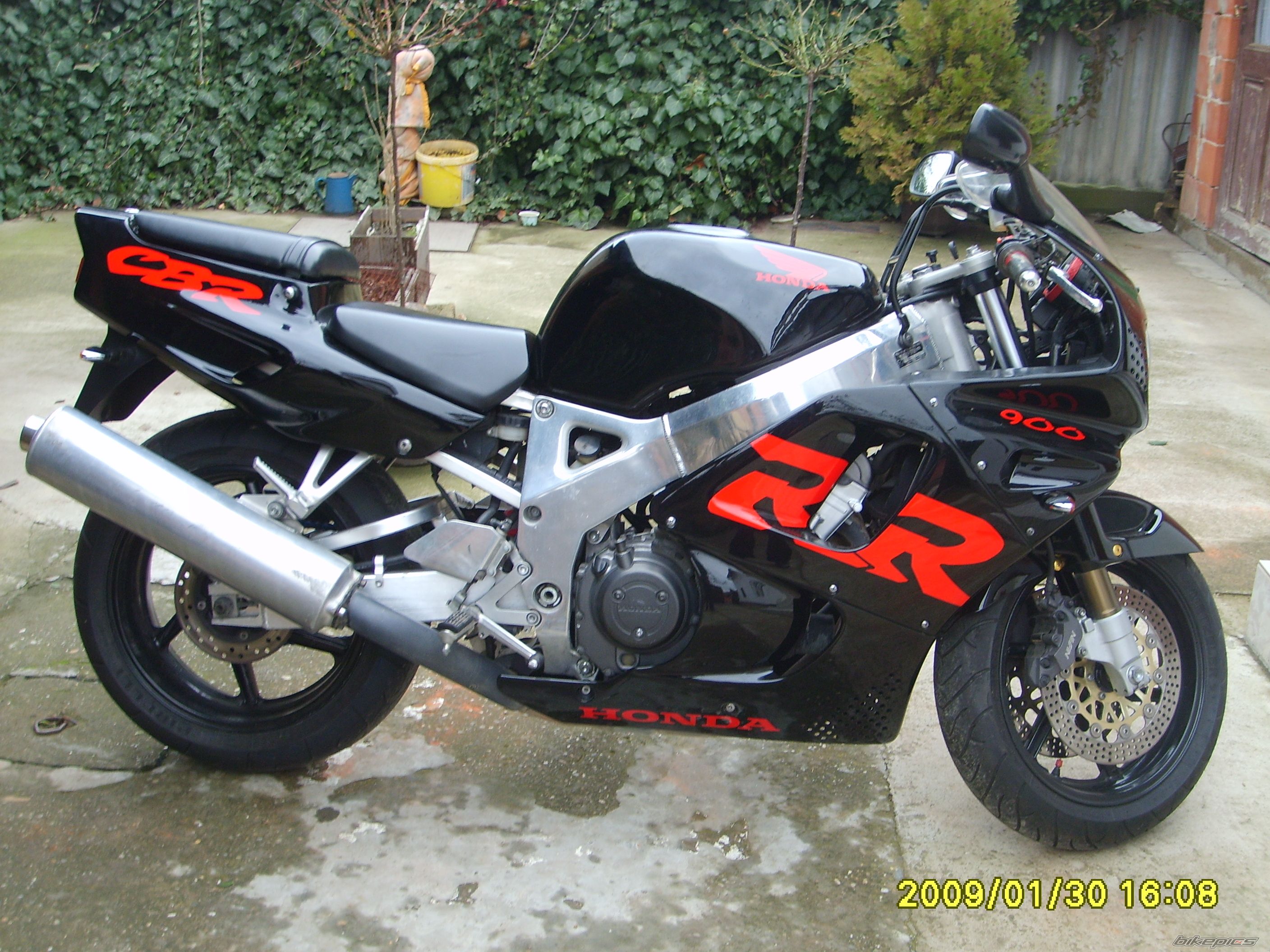 1992 HONDA CBR 900 | Picture 1641876 motorcycle photo