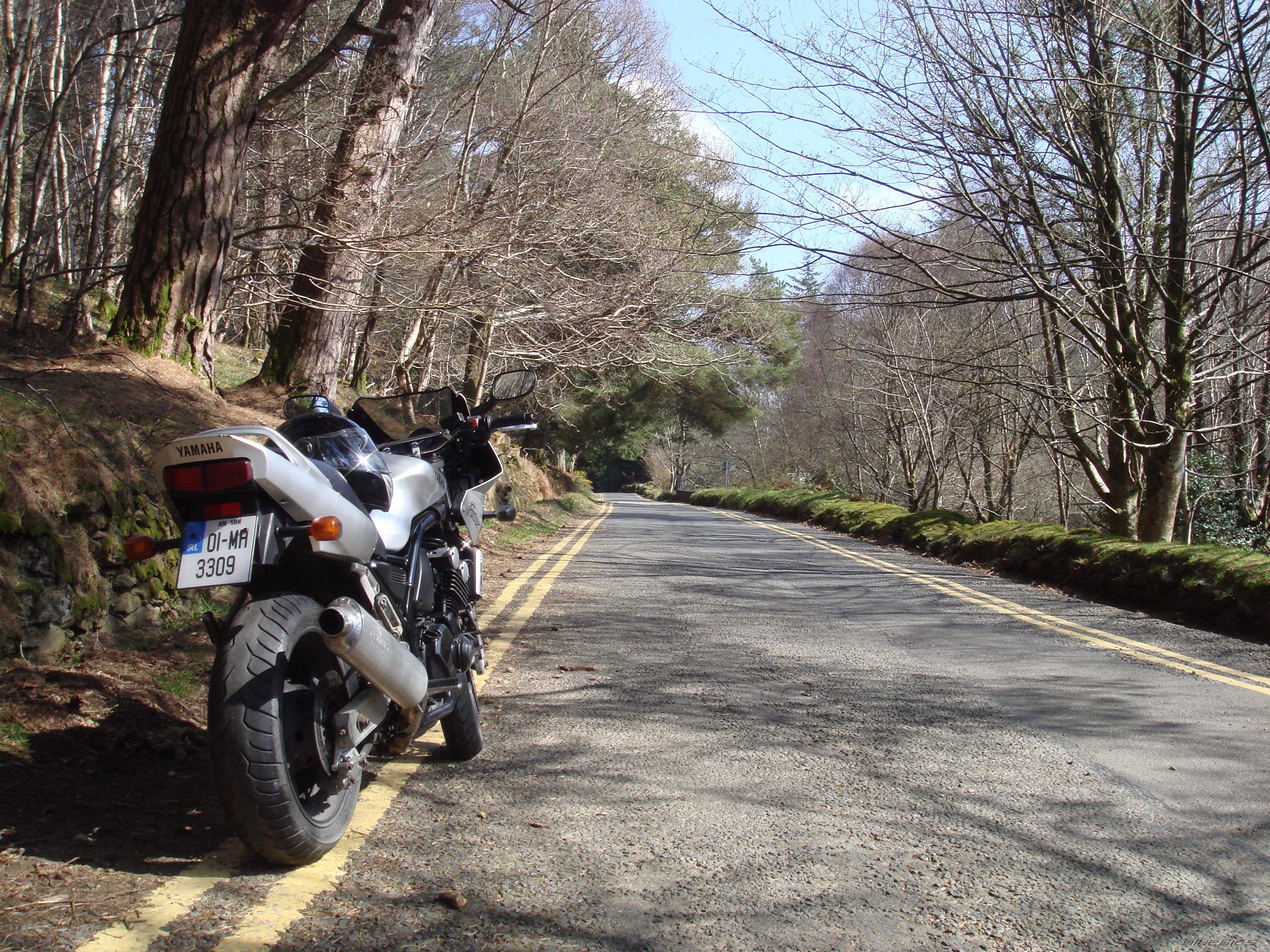 2001 YAMAHA FZS 600 FAZER | Picture 1642205 motorcycle photo