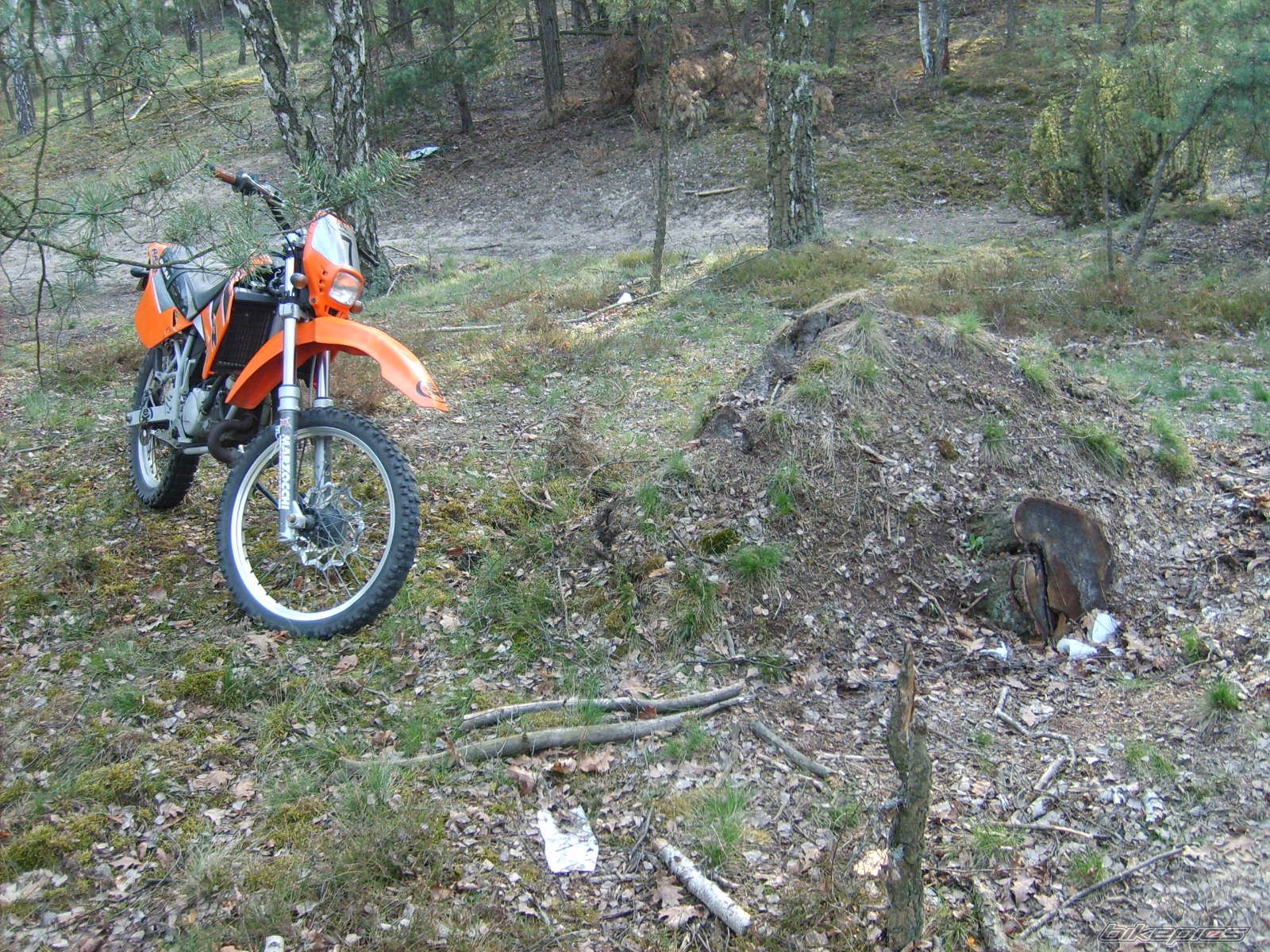 2004 RIEJU RR 50 | Picture 1642461 motorcycle photo