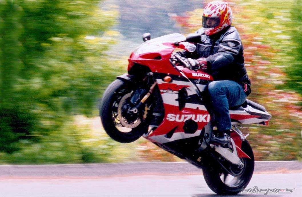 2002 SUZUKI GSX R 1000 | Picture 164251 motorcycle photo