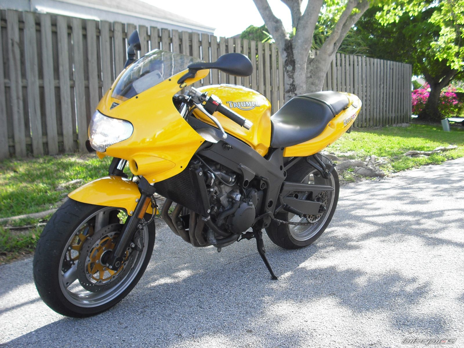 2001 TRIUMPH TT 600 | Picture 1642580 motorcycle photo