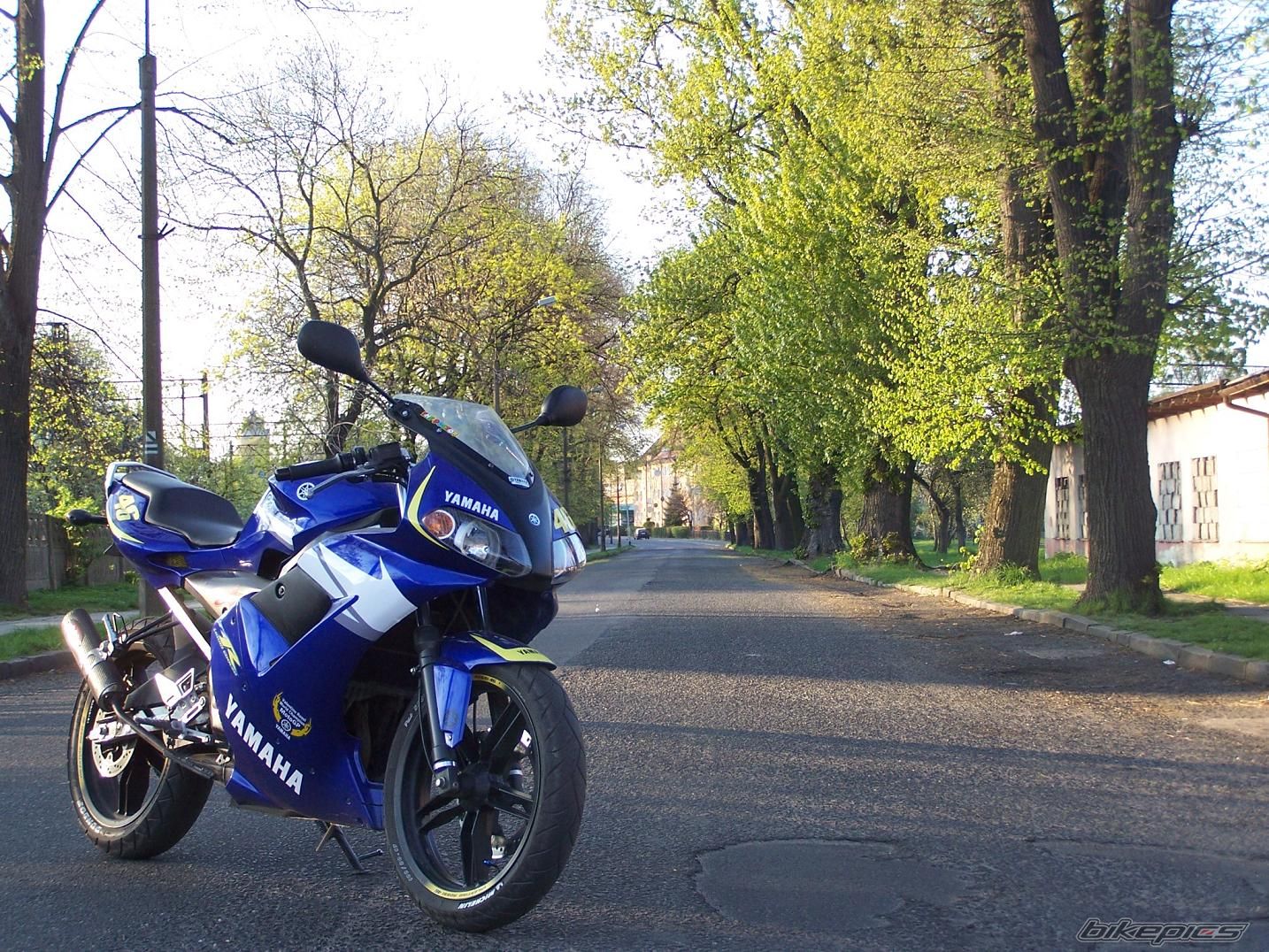 2006 YAMAHA TZR 50 | Picture 1643090 motorcycle photo