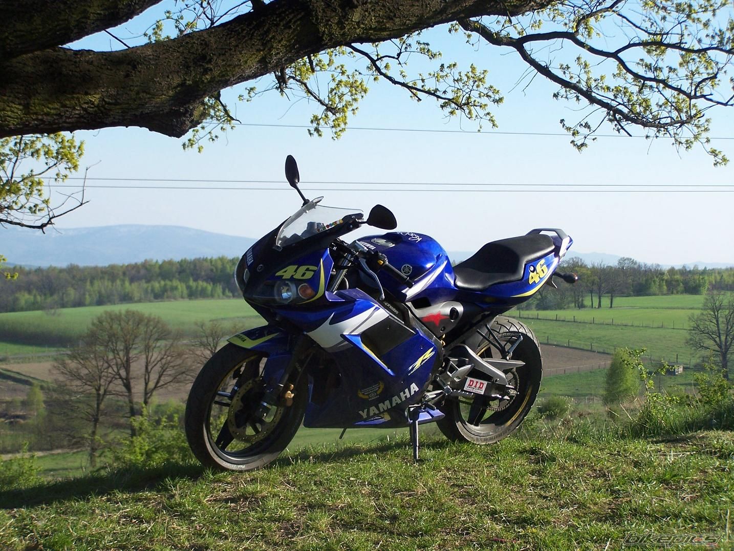 2006 YAMAHA TZR 50 | Picture 1643114 motorcycle photo