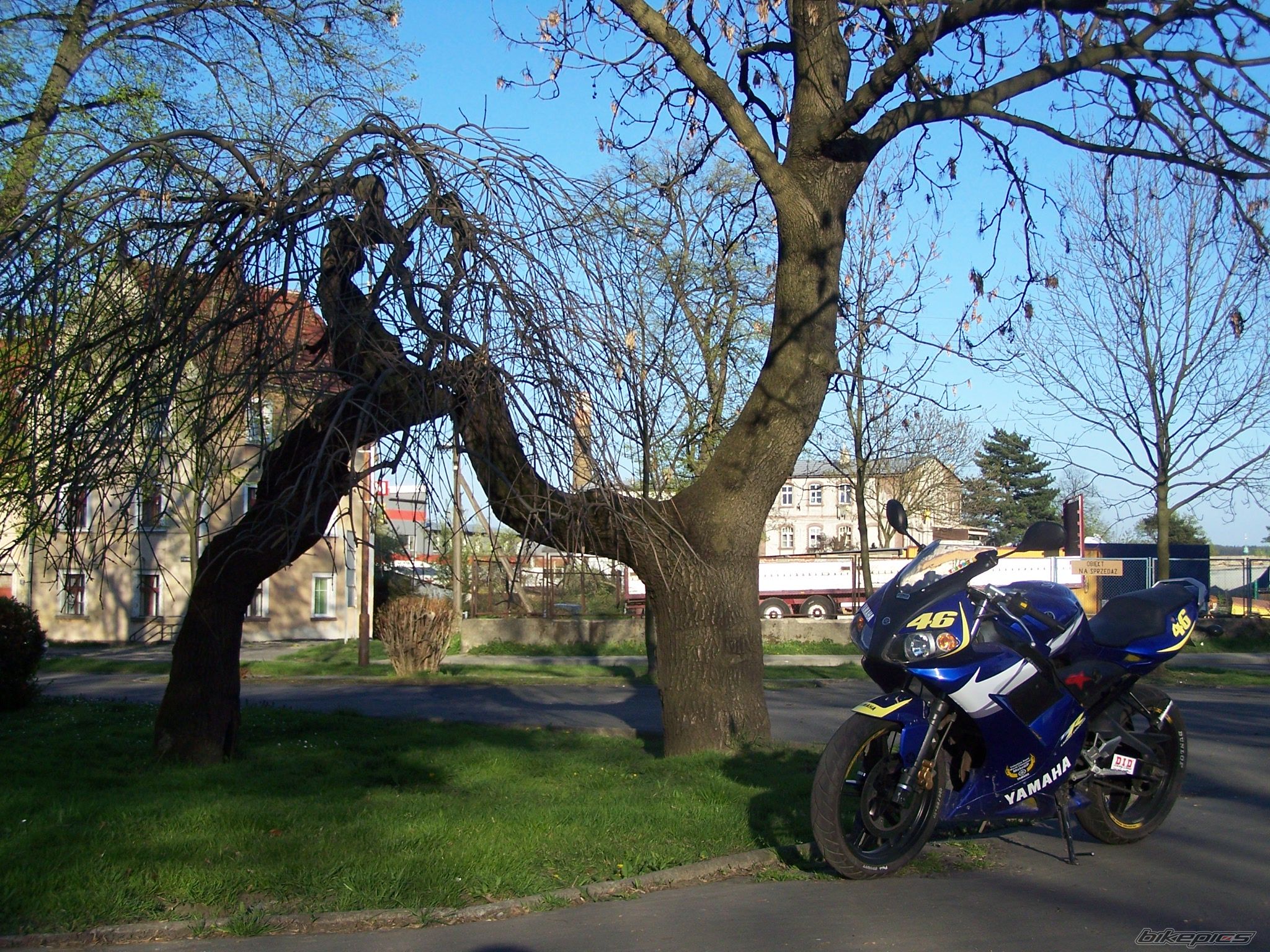 2006 YAMAHA TZR 50 | Picture 1643181 motorcycle photo