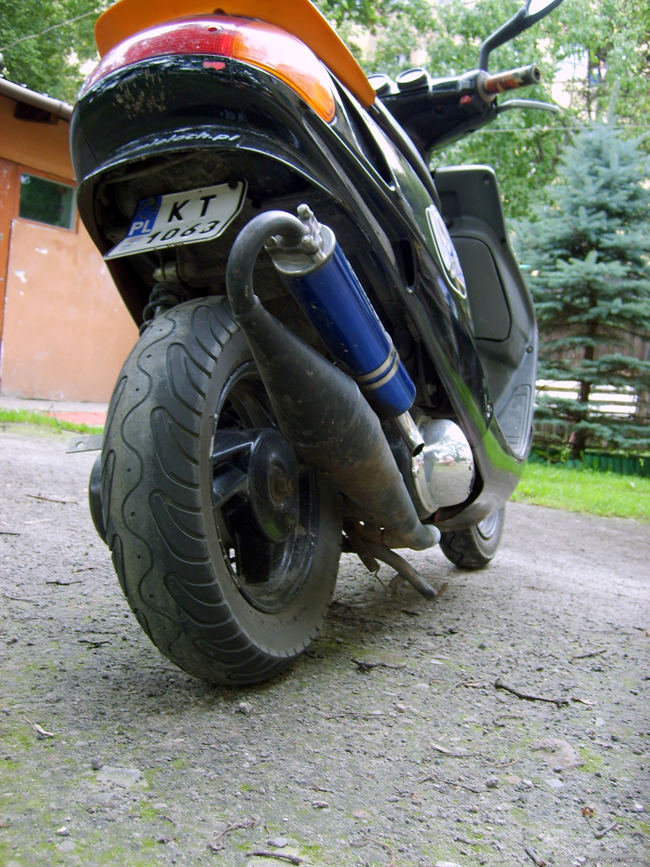 1996 MALAGUTI F 10 50 | Picture 1643305 motorcycle photo