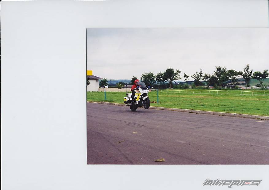 2002 SUZUKI TS 50 | Picture 16436 motorcycle photo