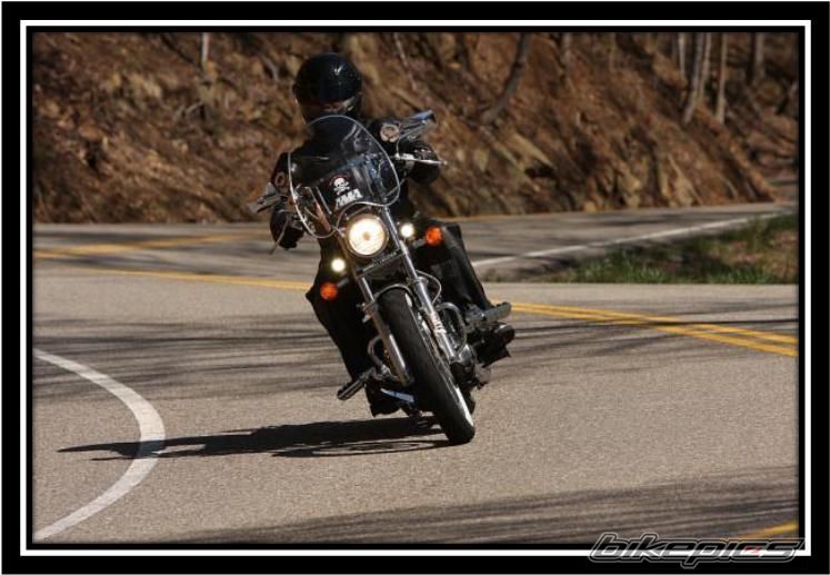2003 SUZUKI SAVAGE | Picture 1643765 motorcycle photo