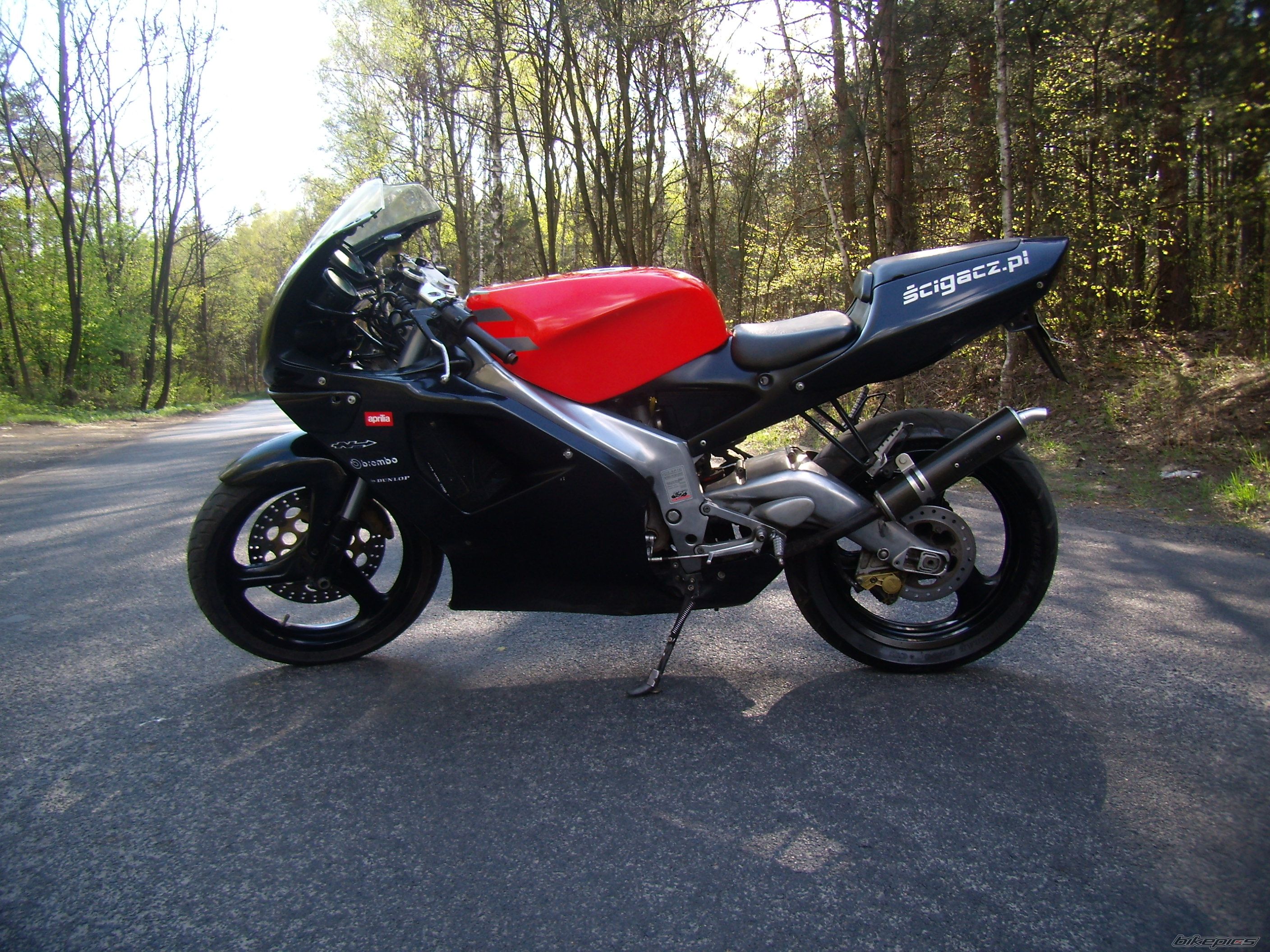 1994 APRILIA RS 125 | Picture 1644663 motorcycle photo