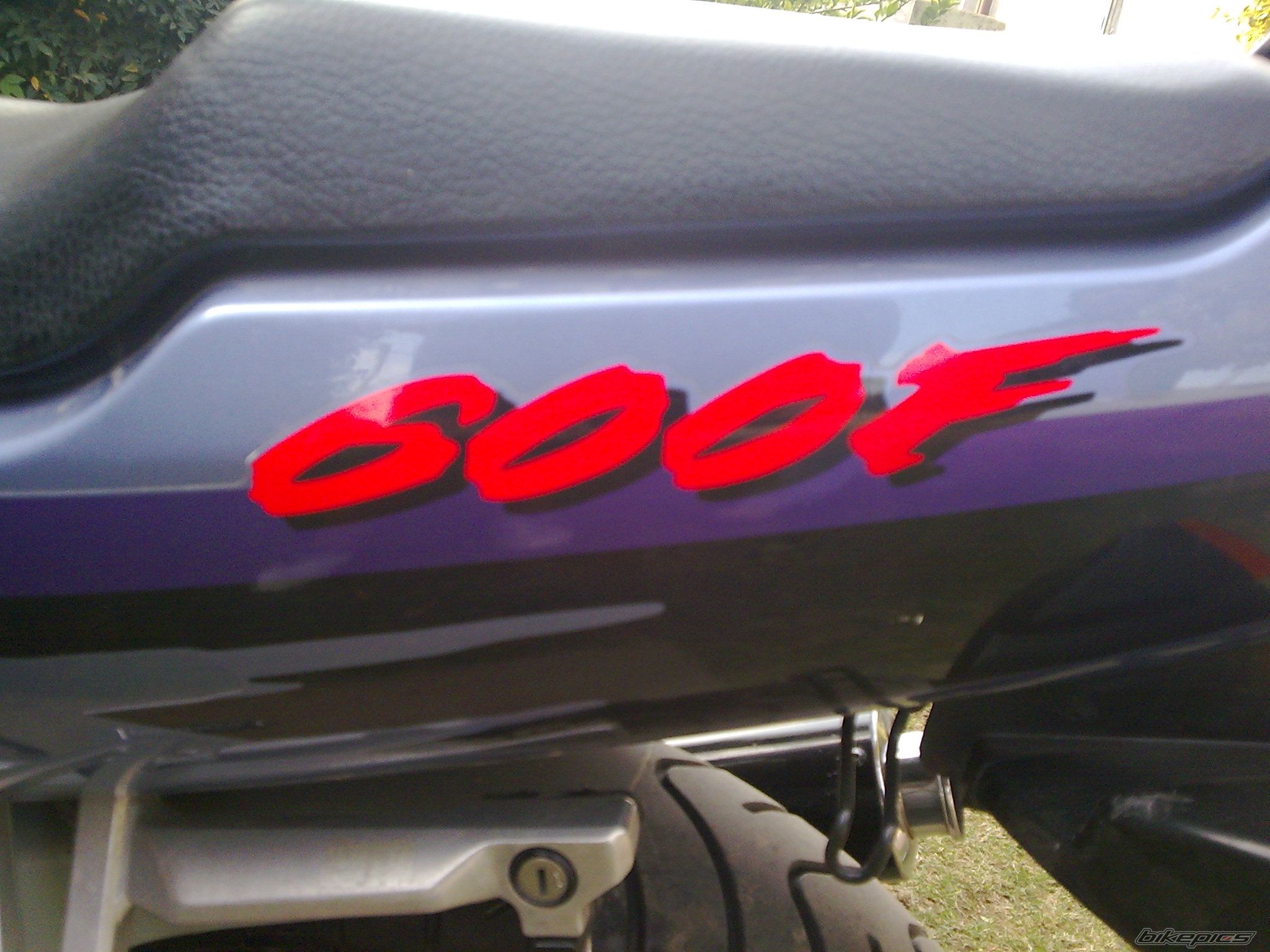 1994 HONDA CBR 600 | Picture 1645060 motorcycle photo