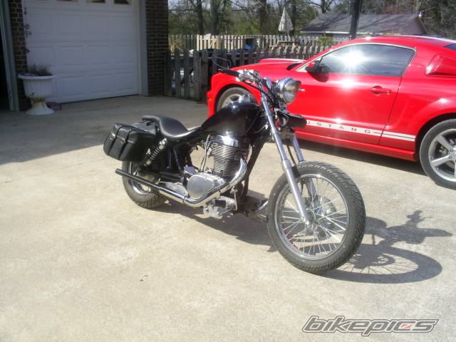 2006 SUZUKI SAVAGE | Picture 1645062 motorcycle photo