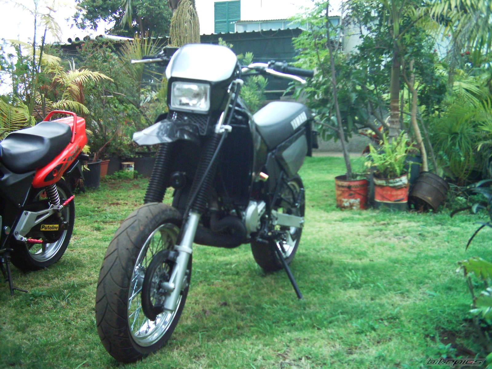2004 YAMAHA DT 125 | Picture 164511 motorcycle photo