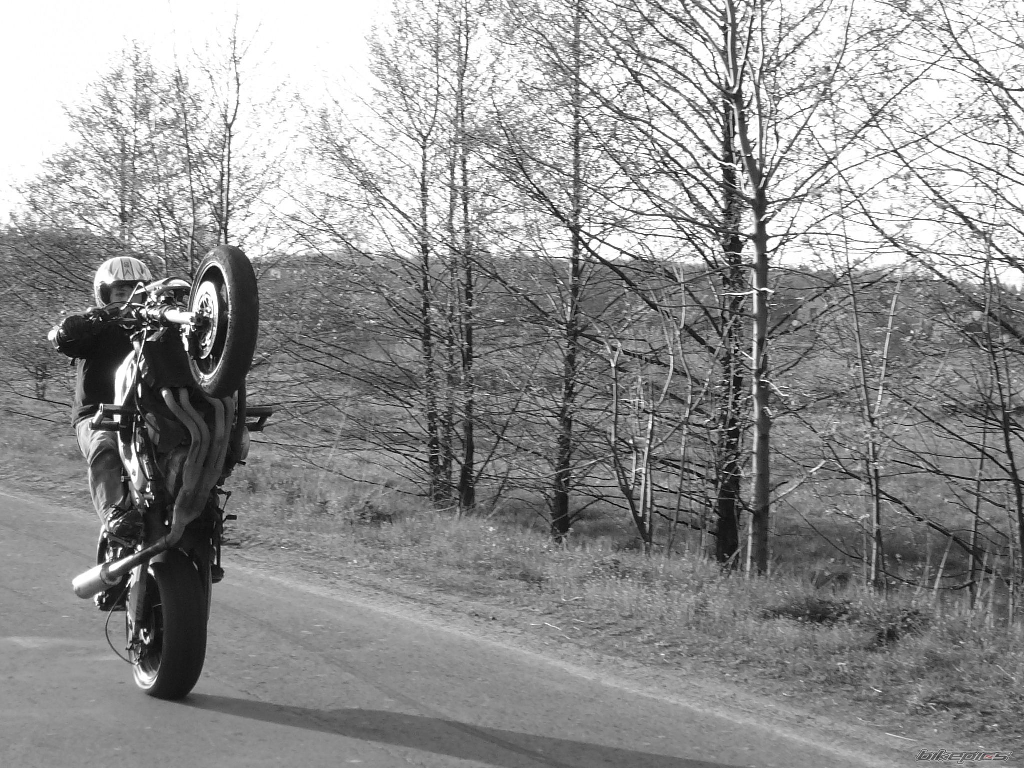 2000 HONDA CBR 600 | Picture 1645113 motorcycle photo