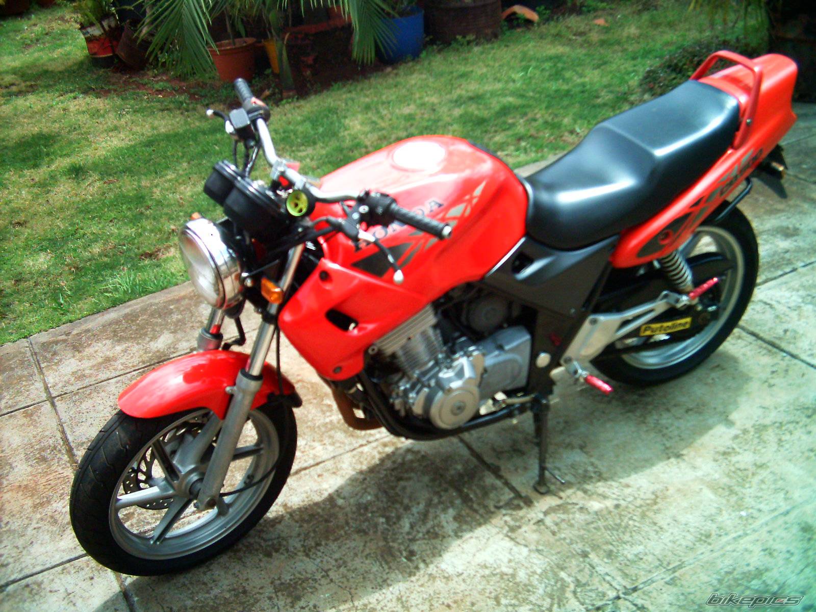 2000 HONDA CB 500 | Picture 164518 motorcycle photo