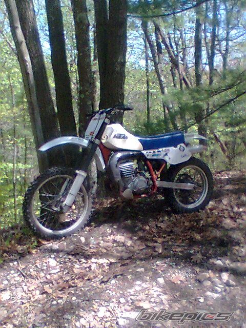 1984 KTM 495 | Picture 1645356 motorcycle photo