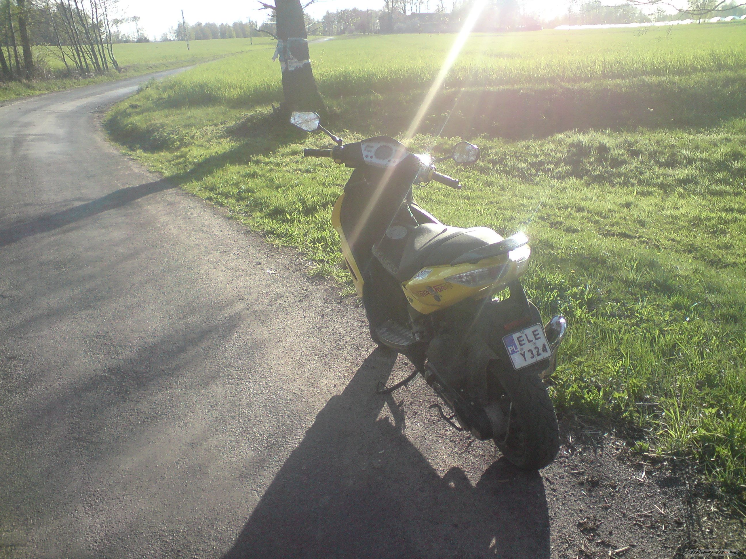 2005 PEUGEOT JET FORCE | Picture 1645366 motorcycle photo
