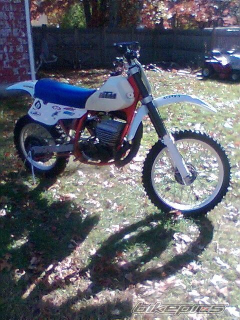 1984 KTM 495 | Picture 1645379 motorcycle photo