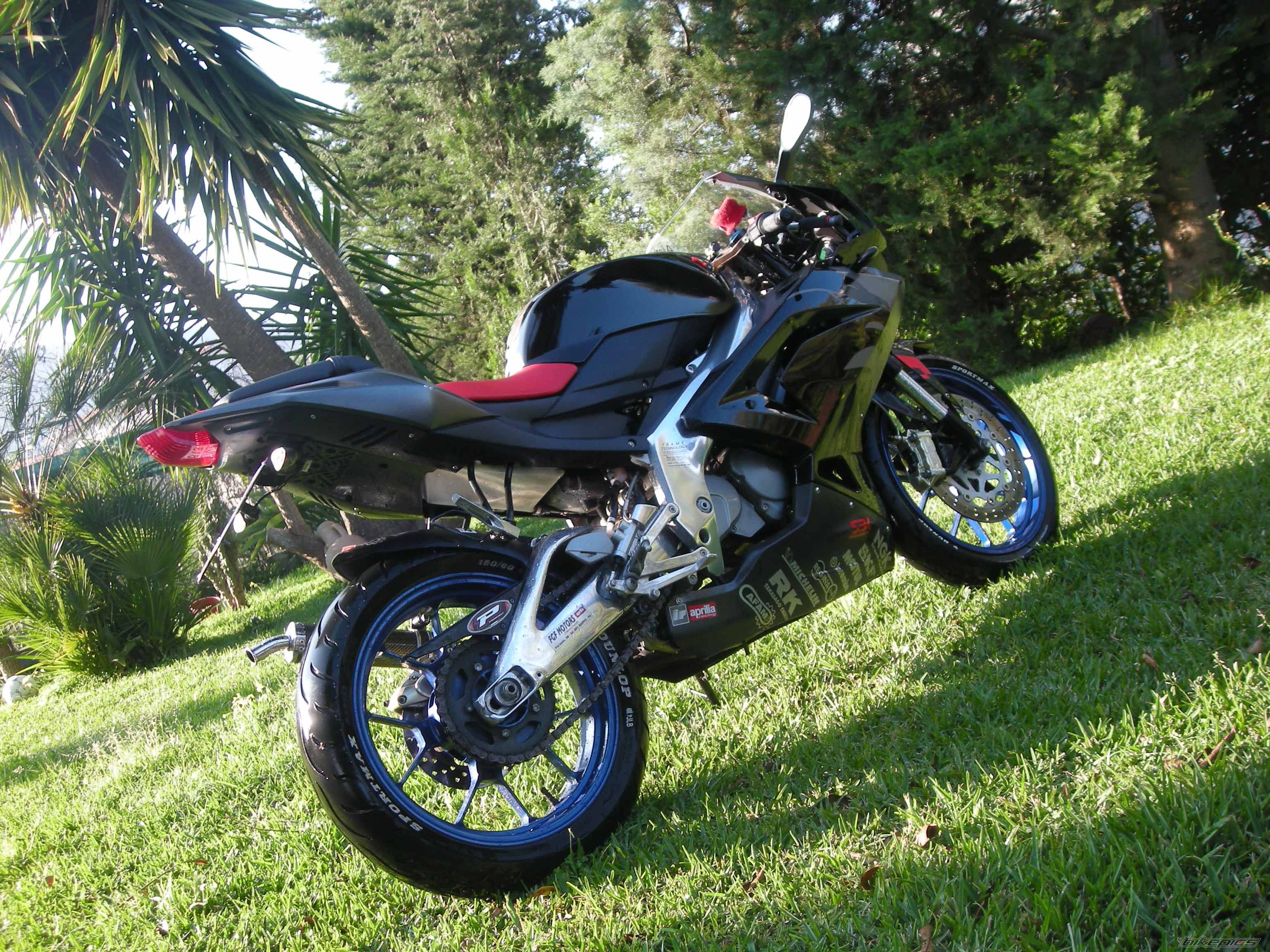 2006 APRILIA RS 125 | Picture 1645387 motorcycle photo