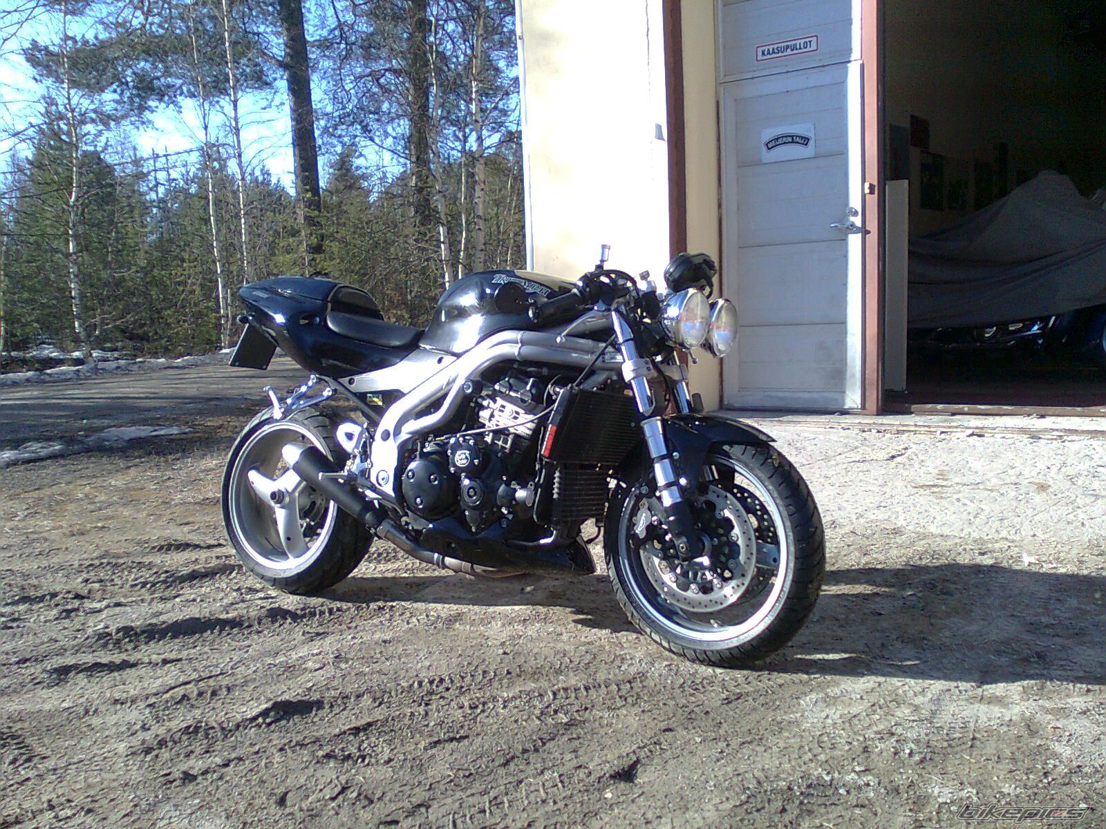 2004 TRIUMPH DAYTONA 955 | Picture 1645457 motorcycle photo