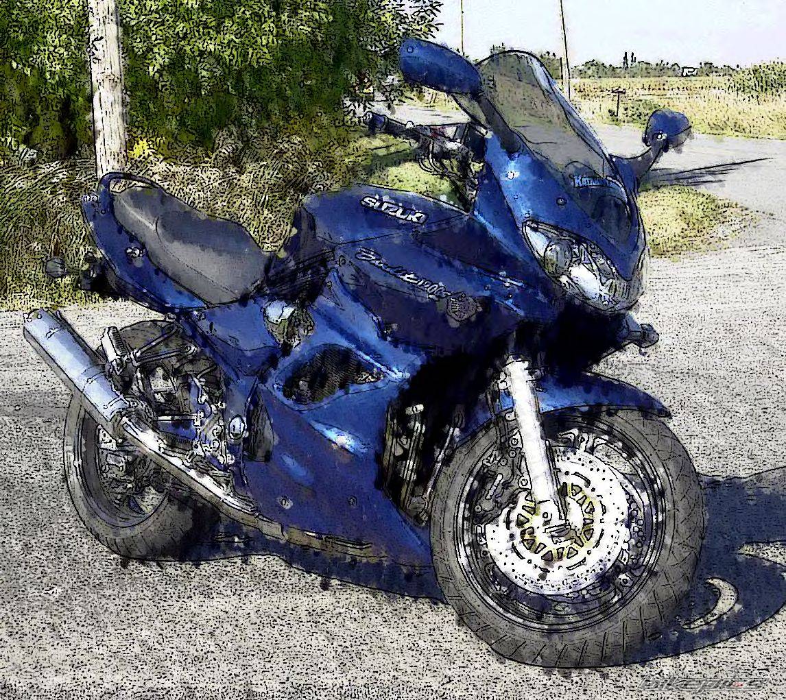 2002 SUZUKI BANDIT 1200 | Picture 164574 motorcycle photo