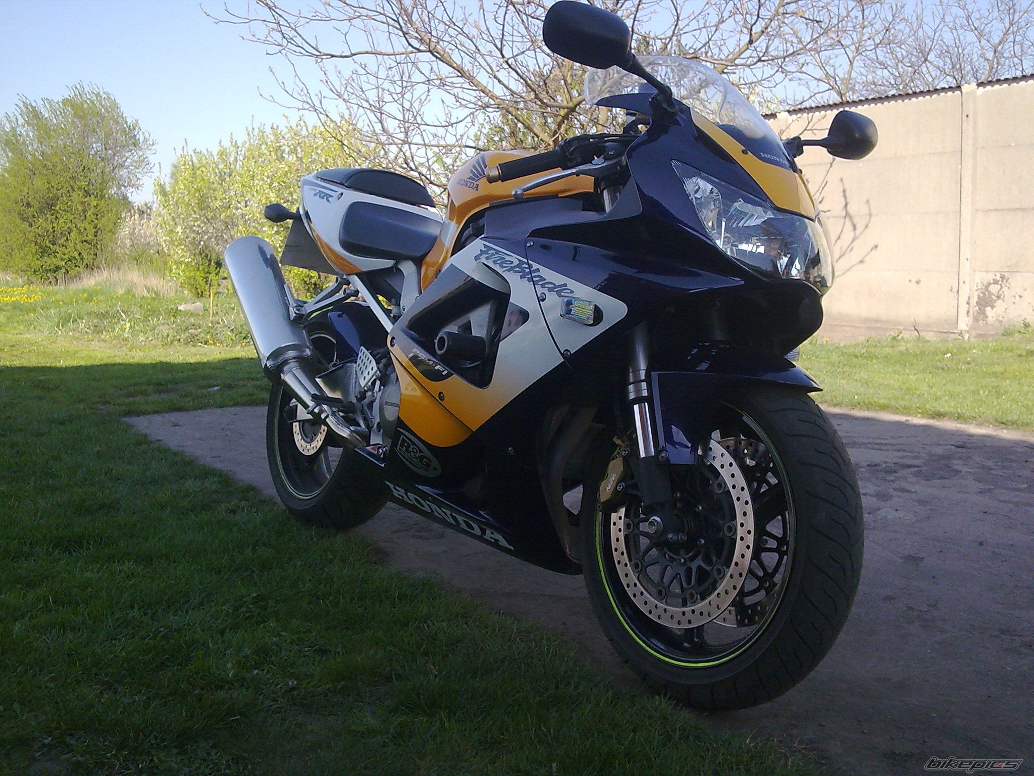 2000 HONDA CBR 900 | Picture 1646099 motorcycle photo