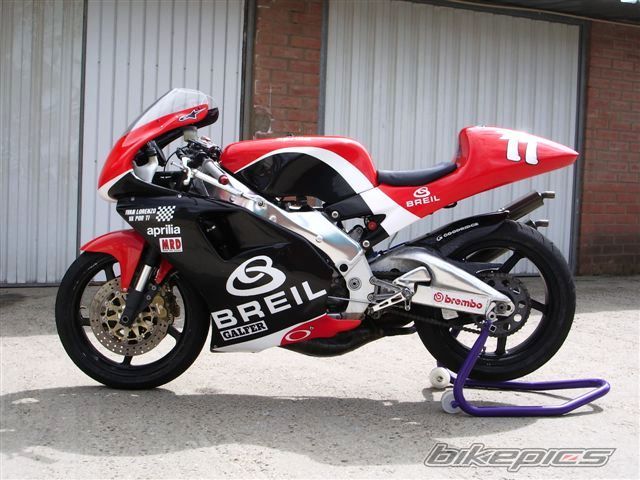 1996 APRILIA RS 250 | Picture 1646297 motorcycle photo