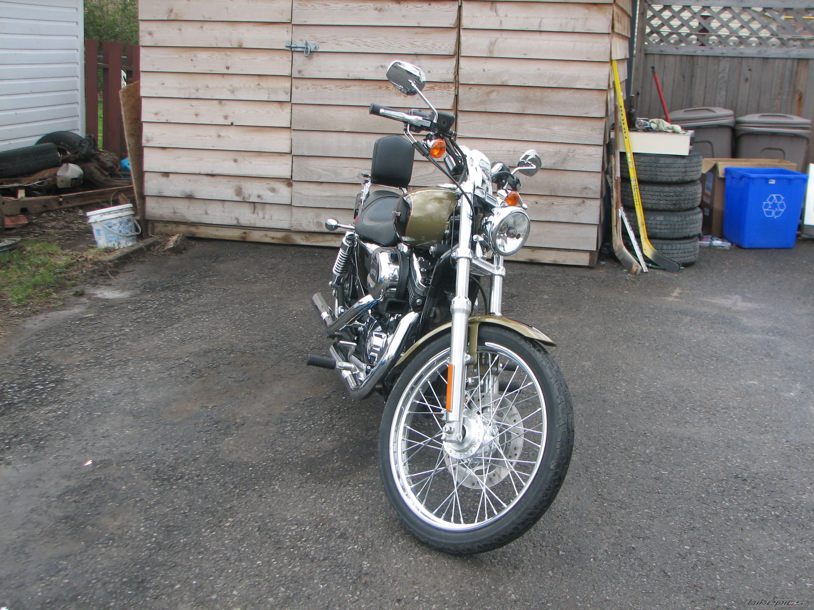 2007 HARLEY DAVIDSON XL 1200 C | Picture 1646490 motorcycle photo