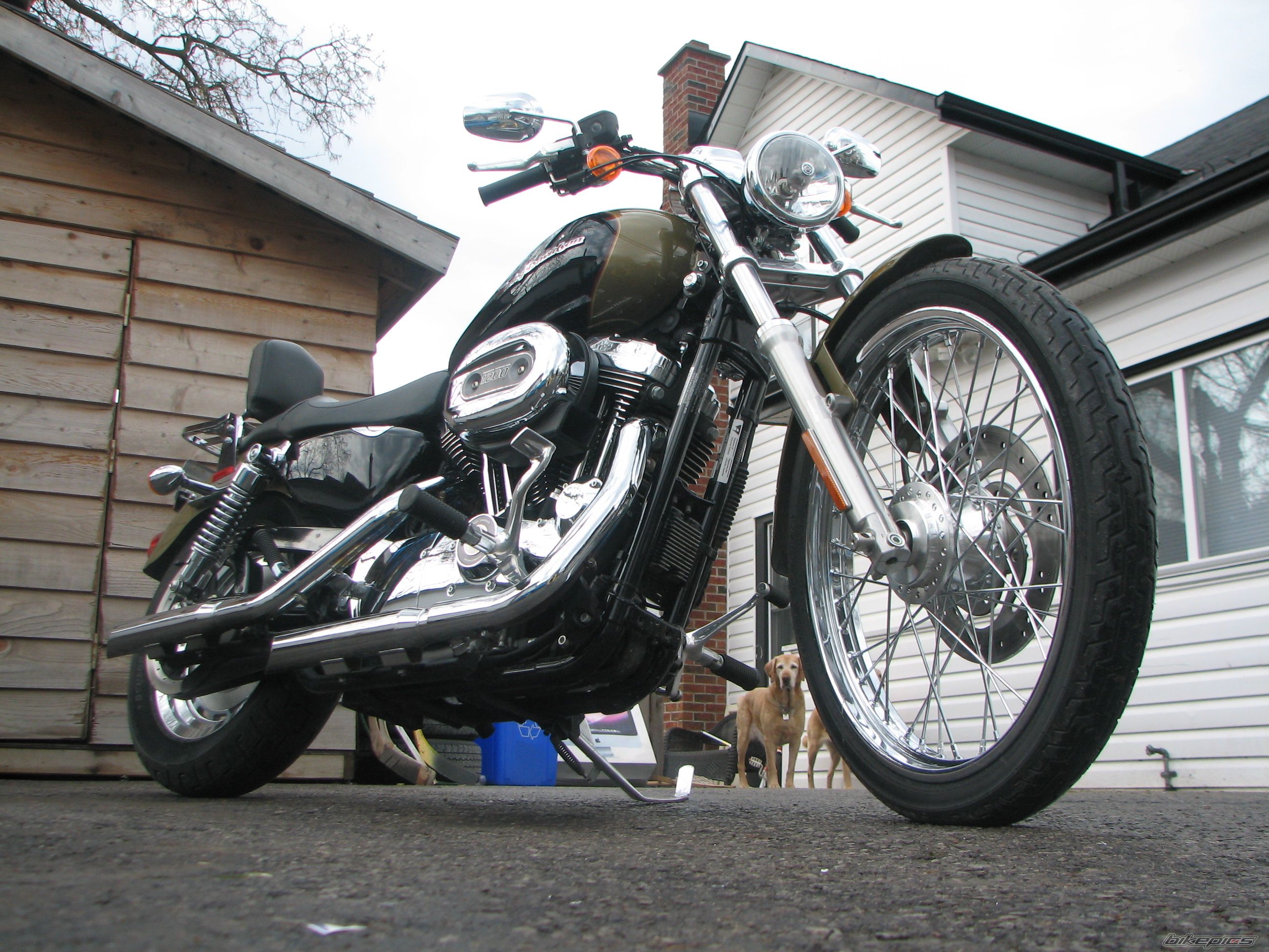 2007 HARLEY DAVIDSON XL 1200 C | Picture 1646495 motorcycle photo