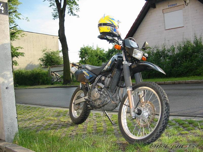 1998 SUZUKI DR 650 | Picture 164650 motorcycle photo