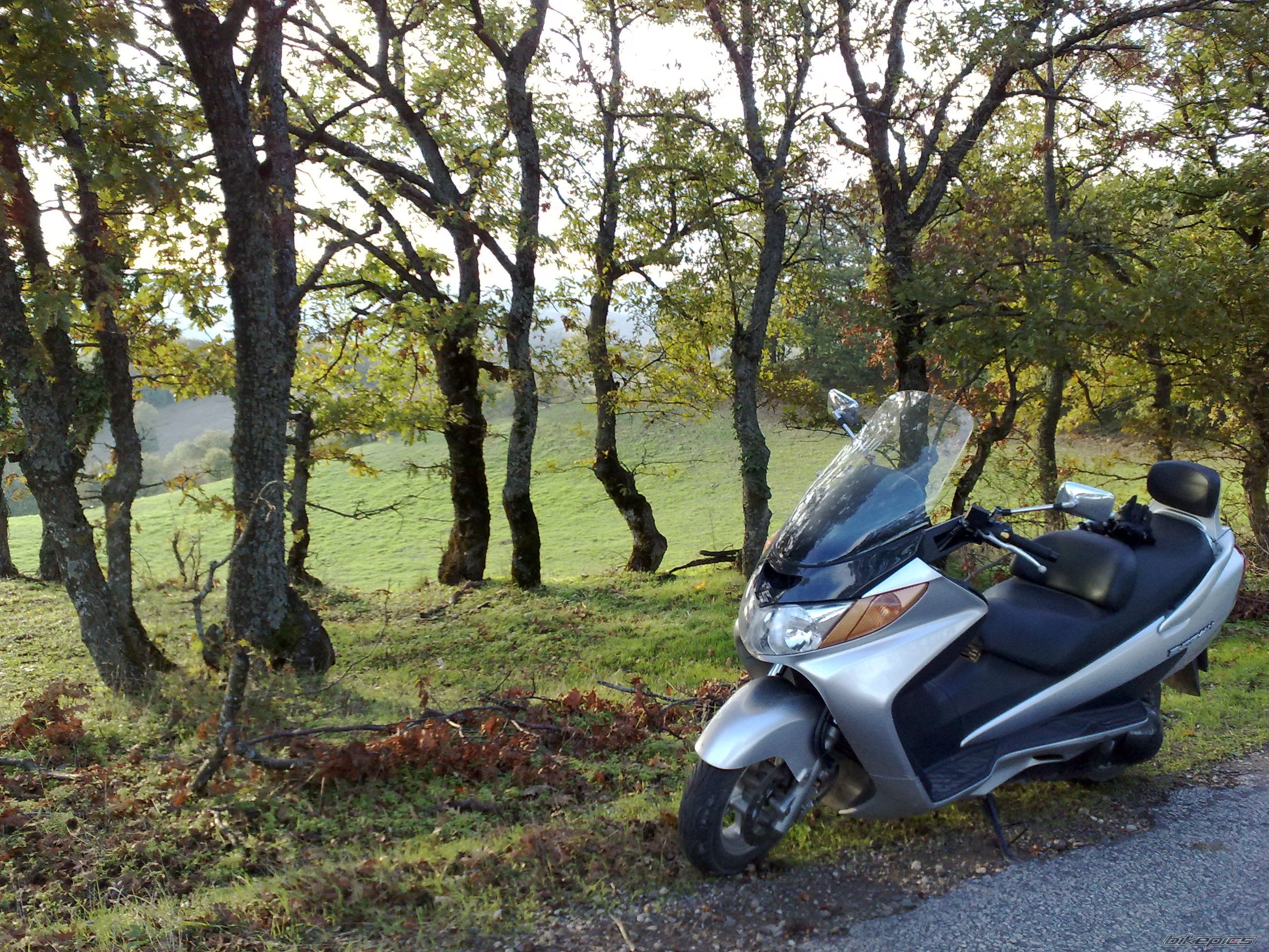 2004 SUZUKI BURGMAN 400 | Picture 1646718 motorcycle photo
