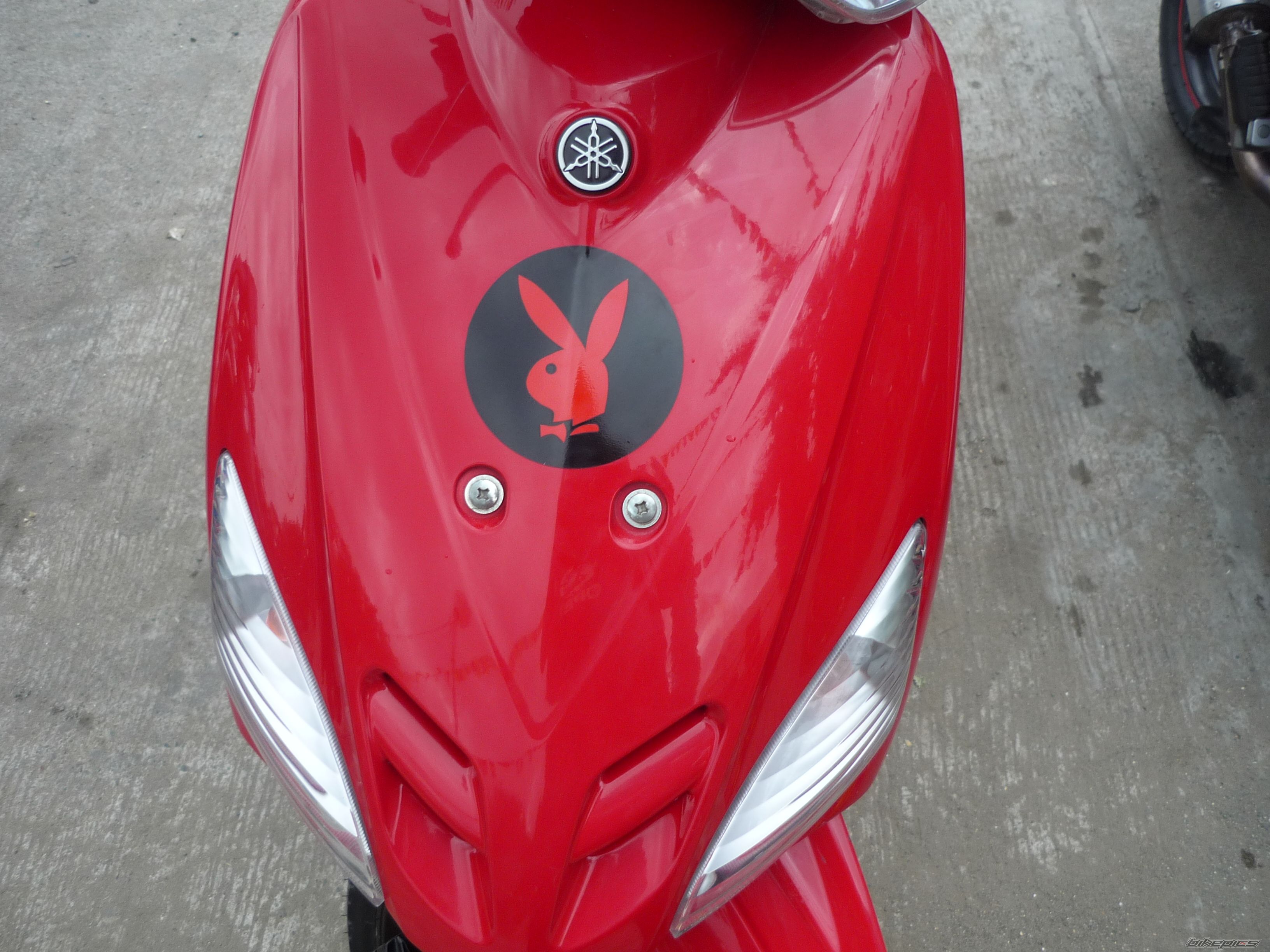 2009 YAMAHA MIO | Picture 1647125 motorcycle photo