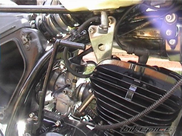 1981 YAMAHA YZ 250 | Picture 1647247 motorcycle photo