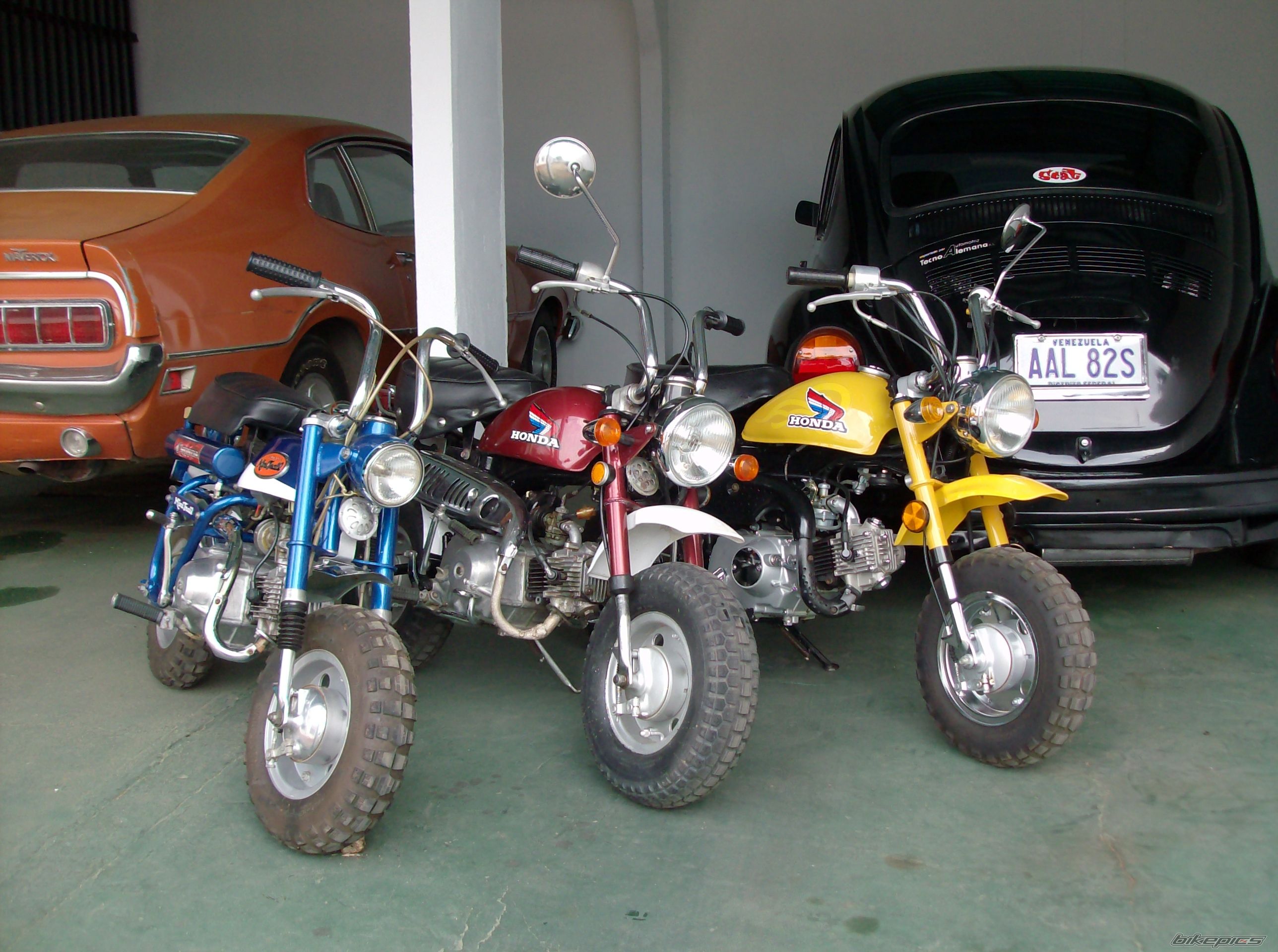 2008 HONDA Z 50 | Picture 1647897 motorcycle photo