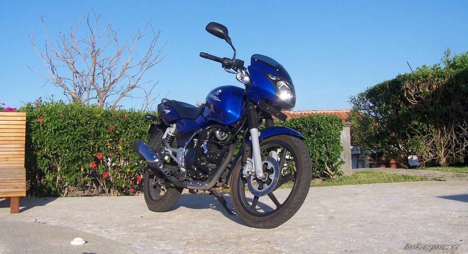 2008 BAJAJ PULSAR 180 | Picture 1648214 motorcycle photo
