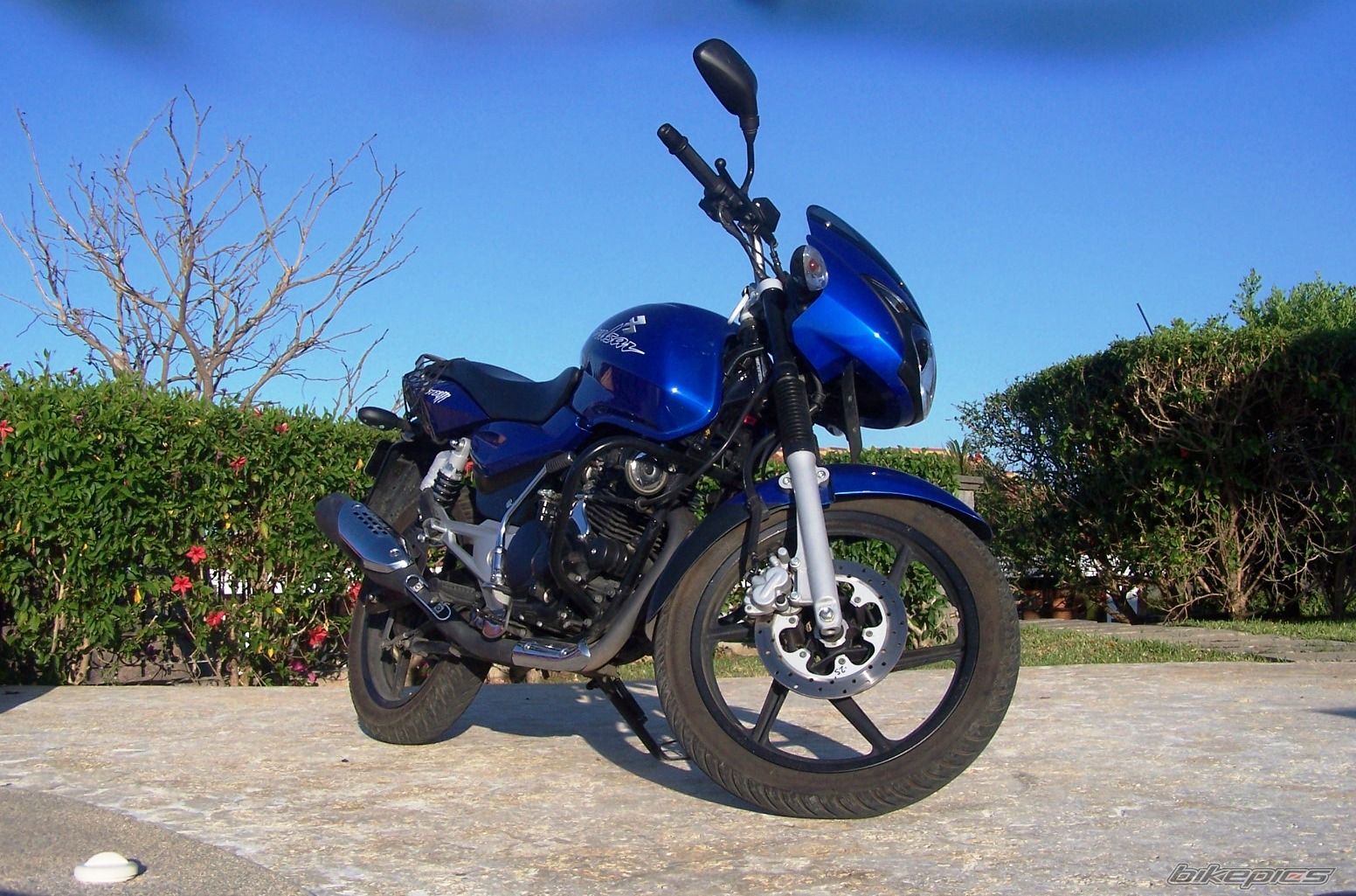 2008 BAJAJ PULSAR 180 | Picture 1648237 motorcycle photo