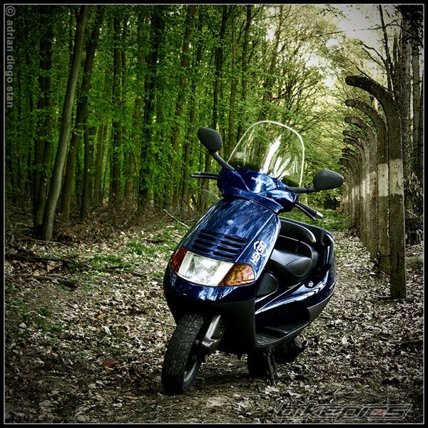 1996 PIAGGIO HEXAGON | Picture 1648238 motorcycle photo