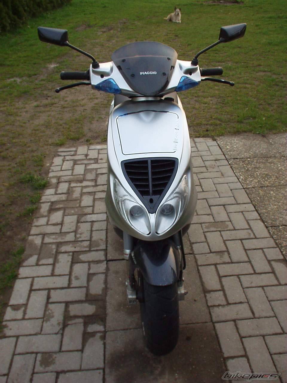 2001 PIAGGIO NRG | Picture 164826 motorcycle photo