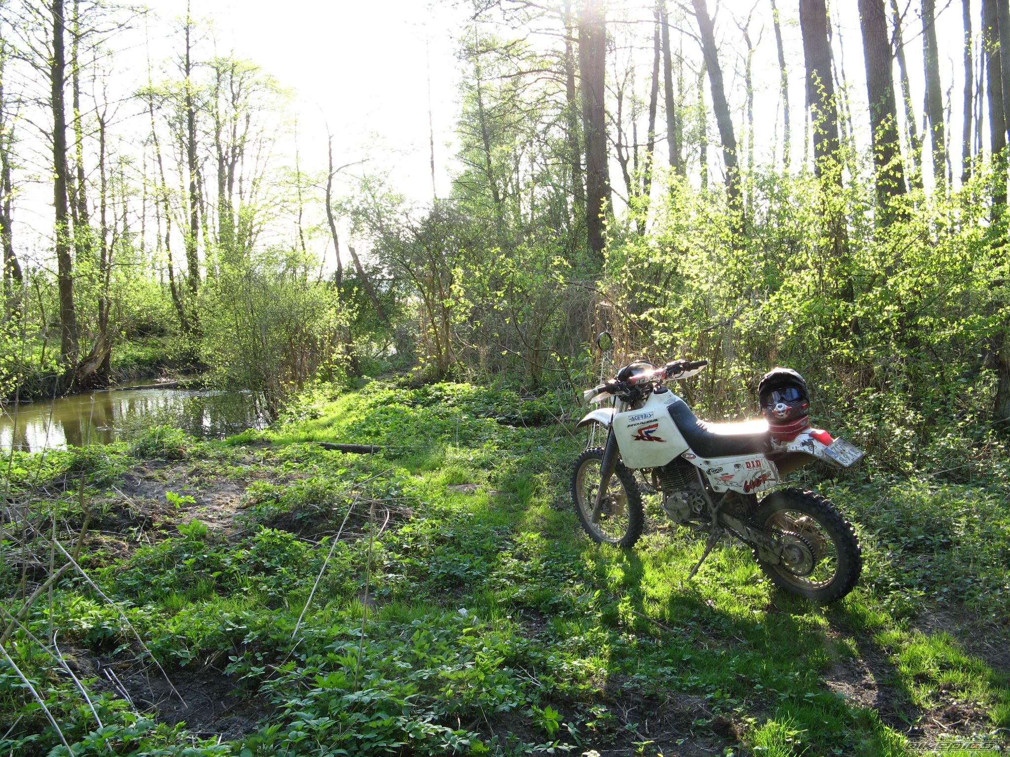 1994 HONDA XR 600 | Picture 1648941 motorcycle photo