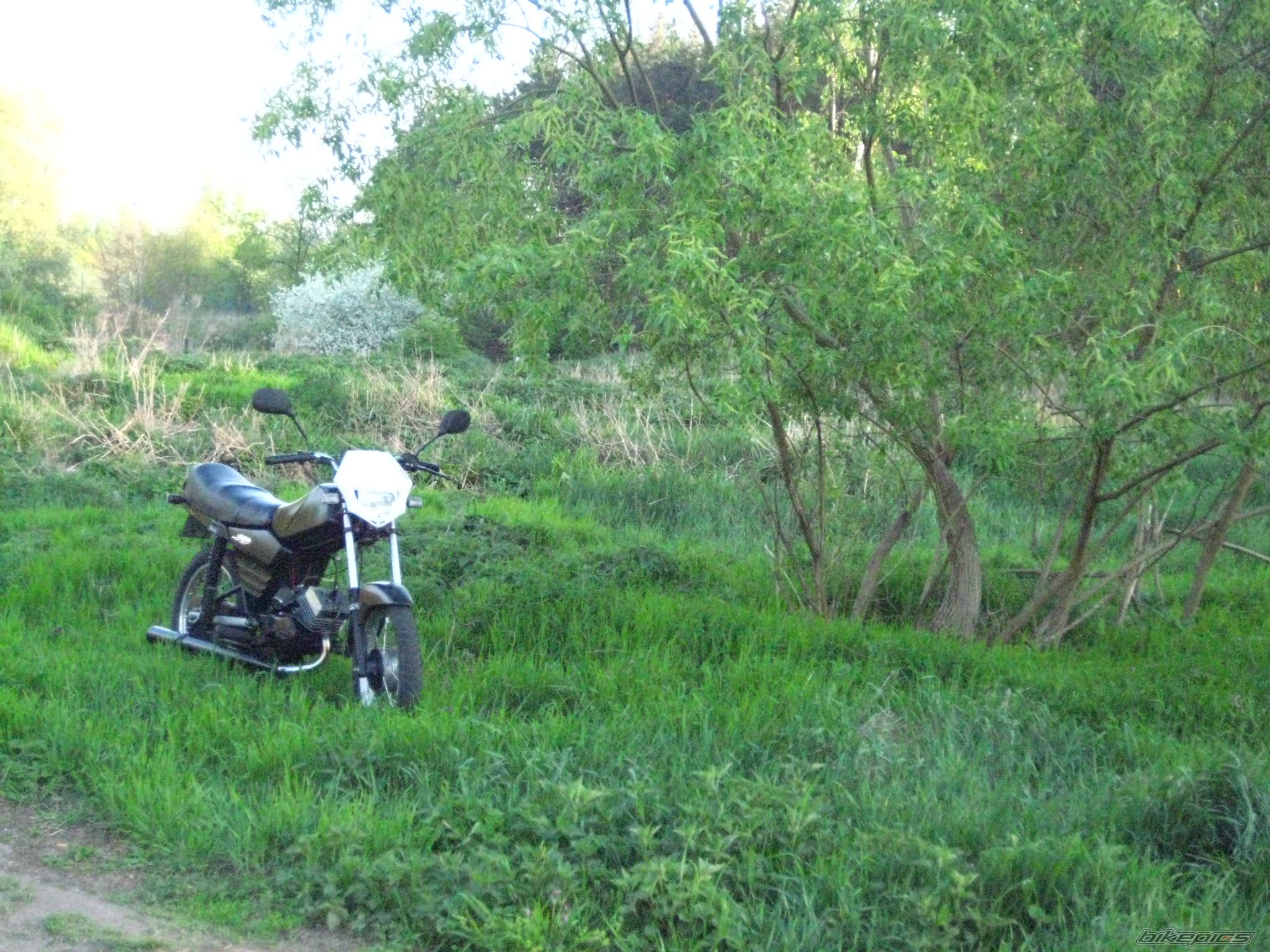 1995 SIMSON S 53M | Picture 1648960 motorcycle photo