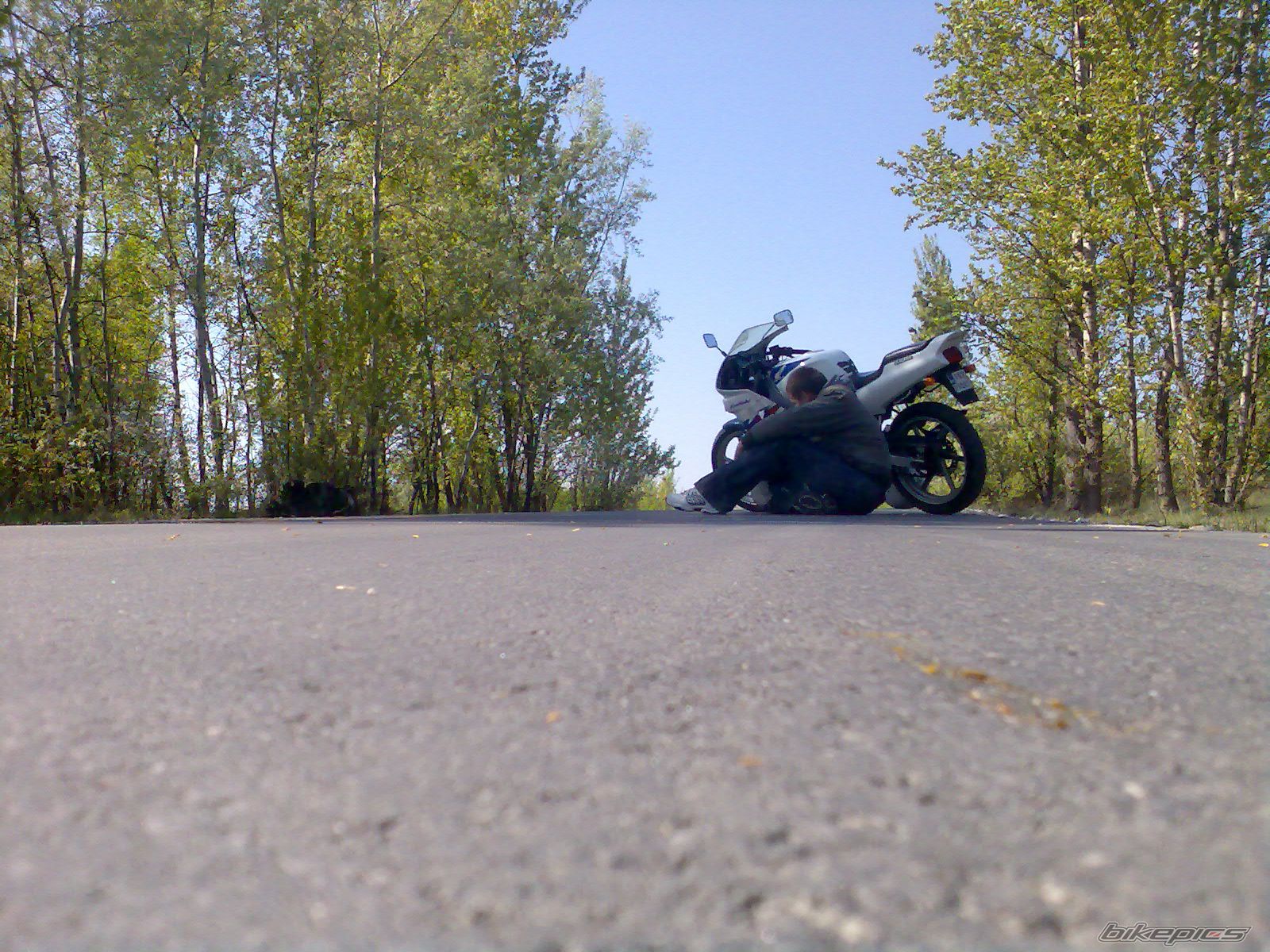 1996 HONDA NS1 80 | Picture 1648970 motorcycle photo
