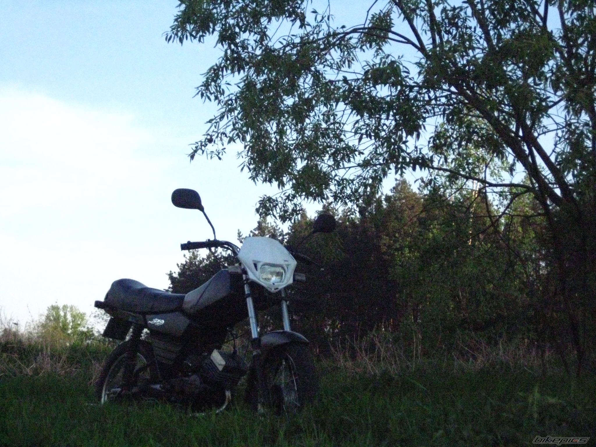 1995 SIMSON S 53M | Picture 1648996 motorcycle photo