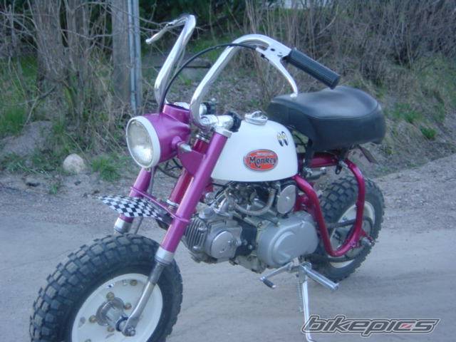 1971 HONDA Z 50 | Picture 164948 motorcycle photo